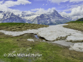 Vom First zum Bachalpsee