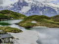 Am Bachalpsee