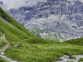 Vom First zur Großen Scheidegg