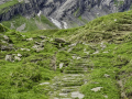 Vom First zur Großen Scheidegg