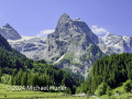 Von Kaltenbrunnen zur Schwarzwaldalp