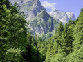 Von Kaltenbrunnen zur Schwarzwaldalp