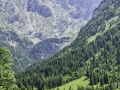 Von der Schwarzwaldalp über den Romantikweg zur Großen Scheidegg