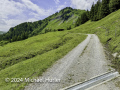 Von der Schwarzwaldalp über den Romantikweg zur Großen Scheidegg