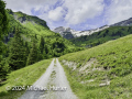 Von der Schwarzwaldalp über den Romantikweg zur Großen Scheidegg