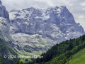 Von der Schwarzwaldalp über den Romantikweg zur Großen Scheidegg