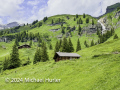 Von der Schwarzwaldalp über den Romantikweg zur Großen Scheidegg