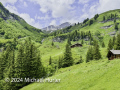 Von der Schwarzwaldalp über den Romantikweg zur Großen Scheidegg