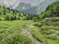 Von der Schwarzwaldalp über den Romantikweg zur Großen Scheidegg