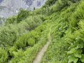 Von der Schwarzwaldalp über den Romantikweg zur Großen Scheidegg
