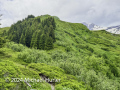 Von der Schwarzwaldalp über den Romantikweg zur Großen Scheidegg