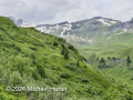 Von der Schwarzwaldalp über den Romantikweg zur Großen Scheidegg