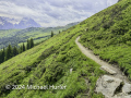 Von der Schwarzwaldalp über den Romantikweg zur Großen Scheidegg