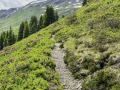 Von der Schwarzwaldalp über den Romantikweg zur Großen Scheidegg