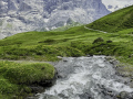Von der Schwarzwaldalp über den Romantikweg zur Großen Scheidegg