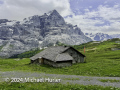 Von der Schwarzwaldalp über den Romantikweg zur Großen Scheidegg